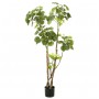 Emerald Árbol Polyscias artificial 135 cm 420292 de Emerald, Flora artificial - Ref: Foro24-414511, Precio: 120,92 €, Descuen...