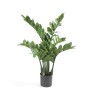 Emerald Artificial Zamioculca Plant 70 cm by Emerald, artificial flora - Ref: Foro24-423603, Price: 55,47 €, Discount: %