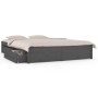 Estructura de cama con cajones gris 120x190 cm de vidaXL, Camas y somieres - Ref: Foro24-3103495, Precio: 294,99 €, Descuento: %