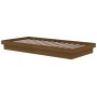 Estructura de cama madera maciza marrón miel 90x190 cm de vidaXL, Camas y somieres - Ref: Foro24-819940, Precio: 127,12 €, De...