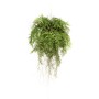 Emerald Artificial hanging fern with roots 55 cm by Emerald, artificial flora - Ref: Foro24-428479, Price: 144,01 €, Discount: %