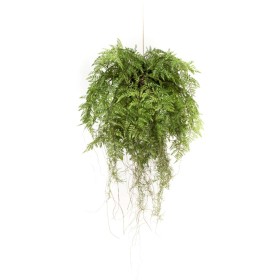 Emerald Artificial hanging fern with roots 55 cm by Emerald, artificial flora - Ref: Foro24-428479, Price: 141,68 €, Discount: %