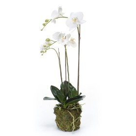 Emerald Orquídea mariposa artificial 70 cm blanca de Emerald, Flora artificial - Ref: Foro24-423606, Precio: 91,51 €, Descuen...