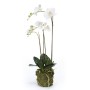 Emerald Artificial white butterfly orchid 70 cm by Emerald, artificial flora - Ref: Foro24-423606, Price: 91,57 €, Discount: %