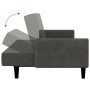 Dunkelgraues 2-Sitzer-Schlafsofa aus Samt von vidaXL, Sofas - Ref: Foro24-337380, Preis: 202,99 €, Rabatt: %