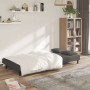 Sofá cama de 2 plazas con dos almohadas terciopelo gris oscuro de vidaXL, Sofás - Ref: Foro24-337441, Precio: 201,99 €, Descu...