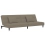 Sofá cama de 2 plazas con dos almohadas terciopelo gris claro de vidaXL, Sofás - Ref: Foro24-337440, Precio: 198,99 €, Descue...