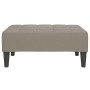 2-seater sofa bed with footrest in light gray velvet by vidaXL, Sofas - Ref: Foro24-3080686, Price: 270,88 €, Discount: %