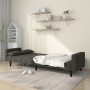 Sofá cama de 2 plazas con dos almohadas terciopelo gris oscuro de vidaXL, Sofás - Ref: Foro24-337514, Precio: 206,24 €, Descu...