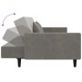 Sofá cama de 2 plazas con dos almohadas terciopelo gris claro de vidaXL, Sofás - Ref: Foro24-337451, Precio: 245,69 €, Descue...