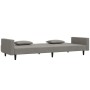 Sofá cama de 2 plazas con dos almohadas terciopelo gris claro de vidaXL, Sofás - Ref: Foro24-337451, Precio: 245,69 €, Descue...