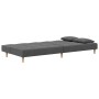 2-seater sofa bed with two pillows in light gray fabric by vidaXL, Sofas - Ref: Foro24-337415, Price: 196,78 €, Discount: %