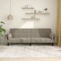 Two-seater sofa bed with two light gray velvet pillows by vidaXL, Sofas - Ref: Foro24-337513, Price: 237,80 €, Discount: %