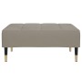 Sofá cama 2 plazas reposapiés dos cojines terciopelo gris claro de vidaXL, Sofás - Ref: Foro24-3081797, Precio: 361,99 €, Des...