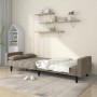 Two-seater sofa bed with two light gray velvet pillows by vidaXL, Sofas - Ref: Foro24-337513, Price: 237,80 €, Discount: %