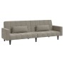 Sofá cama de 2 plazas con dos almohadas terciopelo gris claro de vidaXL, Sofás - Ref: Foro24-337513, Precio: 237,99 €, Descue...