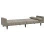 Sofá cama de 2 plazas con dos almohadas terciopelo gris claro de vidaXL, Sofás - Ref: Foro24-337513, Precio: 237,99 €, Descue...