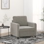 Sillón de terciopelo gris claro 60 cm de vidaXL, Sofás - Ref: Foro24-349023, Precio: 157,58 €, Descuento: %