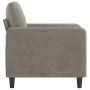 Sillón de terciopelo gris claro 60 cm de vidaXL, Sofás - Ref: Foro24-349023, Precio: 157,99 €, Descuento: %