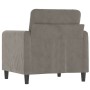 Sillón de terciopelo gris claro 60 cm de vidaXL, Sofás - Ref: Foro24-349023, Precio: 157,99 €, Descuento: %