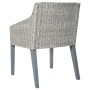 Silla de comedor con cojín ratán natural gris de vidaXL, Sillas de comedor - Ref: Foro24-325491, Precio: 110,94 €, Descuento: %