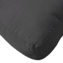 Cushions for pallets 2 units black fabric by vidaXL, Cushions for chairs and sofas - Ref: Foro24-314653, Price: 57,99 €, Disc...