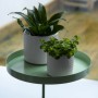 Esschert Design Round Green Plant Tray with Clamp L by Esschert Design, Decorative trays - Ref: Foro24-441021, Price: 26,99 €...