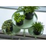 Esschert Design Round Green Plant Tray with Clamp L by Esschert Design, Decorative trays - Ref: Foro24-441021, Price: 26,99 €...