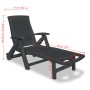 Anthracite gray plastic sun lounger with footrest by vidaXL, Loungers - Ref: Foro24-43588, Price: 152,94 €, Discount: %