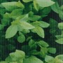 Panel de valla de PVC verde 35x0,19 m de vidaXL, Paneles de vallas - Ref: Foro24-147849, Precio: 39,64 €, Descuento: %