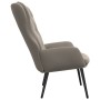 Silla de relajación de terciopelo gris claro de vidaXL, Sillones - Ref: Foro24-341229, Precio: 102,99 €, Descuento: %