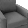 Sillón elevable tela gris claro de vidaXL, Sillones - Ref: Foro24-3098171, Precio: 328,99 €, Descuento: %