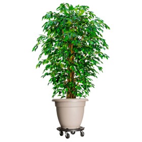 Soporte para plantas con ruedas negro diámetro 40 cm 275 kg de vidaXL, Soportes para macetas - Ref: Foro24-151830, Precio: 40...