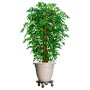 Soporte para plantas con ruedas negro diámetro 40 cm 275 kg de vidaXL, Soportes para macetas - Ref: Foro24-151830, Precio: 41...