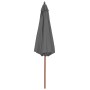 Garden umbrella with wooden pole 300 cm anthracite by vidaXL, Umbrellas - Ref: Foro24-44495, Price: 80,69 €, Discount: %