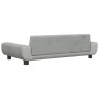 Cama para perros de terciopelo gris claro 100x54x33 cm de vidaXL, Camas para perros - Ref: Foro24-171982, Precio: 108,08 €, D...