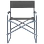 Director's chairs, 2 units, gray steel by vidaXL, Garden chairs - Ref: Foro24-47920, Price: 107,17 €, Discount: %