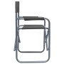 Director's chairs, 2 units, gray steel by vidaXL, Garden chairs - Ref: Foro24-47920, Price: 107,17 €, Discount: %