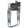 Director's chairs, 2 units, gray steel by vidaXL, Garden chairs - Ref: Foro24-47920, Price: 107,17 €, Discount: %