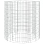 Galvanized iron gabion brazier Ø100 cm by vidaXL, Chimneys - Ref: Foro24-153561, Price: 108,68 €, Discount: %