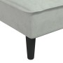 Sofá diván de terciopelo gris claro de vidaXL, Divanes - Ref: Foro24-352835, Precio: 140,19 €, Descuento: %