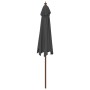 Garden umbrella with anthracite gray wooden pole 299x240 cm by vidaXL, Umbrellas - Ref: Foro24-363169, Price: 68,33 €, Discou...