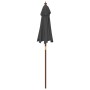 Garden umbrella with anthracite gray wooden pole 196x231 cm by vidaXL, Umbrellas - Ref: Foro24-363161, Price: 49,51 €, Discou...