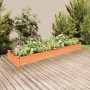 Flowerbed planter with brown fir wood lining 240x60x25 cm by vidaXL, Pots and planters - Ref: Foro24-364299, Price: 70,58 €, ...