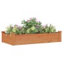 Flowerbed planter lined with solid brown fir wood 120x60x25 cm by vidaXL, Pots and planters - Ref: Foro24-364290, Price: 46,6...