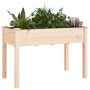 Planter with interior lining solid fir wood 118x59x76 cm by vidaXL, Pots and planters - Ref: Foro24-364233, Price: 63,71 €, D...