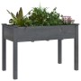 Planter with solid gray fir wood lining 118x59x76 cm by vidaXL, Pots and planters - Ref: Foro24-364235, Price: 97,54 €, Disco...