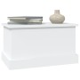 White plywood storage trunk 50x30x28 cm by vidaXL, Storage trunks - Ref: Foro24-816496, Price: 33,94 €, Discount: %