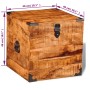 Kubische Aufbewahrungstruhe aus rauem Mangoholz von vidaXL, Aufbewahrungskisten - Ref: Foro24-241636, Preis: 127,05 €, Rabatt: %