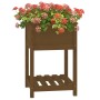 Jardinera de madera maciza de pino marrón 54x54x81 cm de vidaXL, Maceteros y jardineras - Ref: Foro24-823776, Precio: 64,28 €...